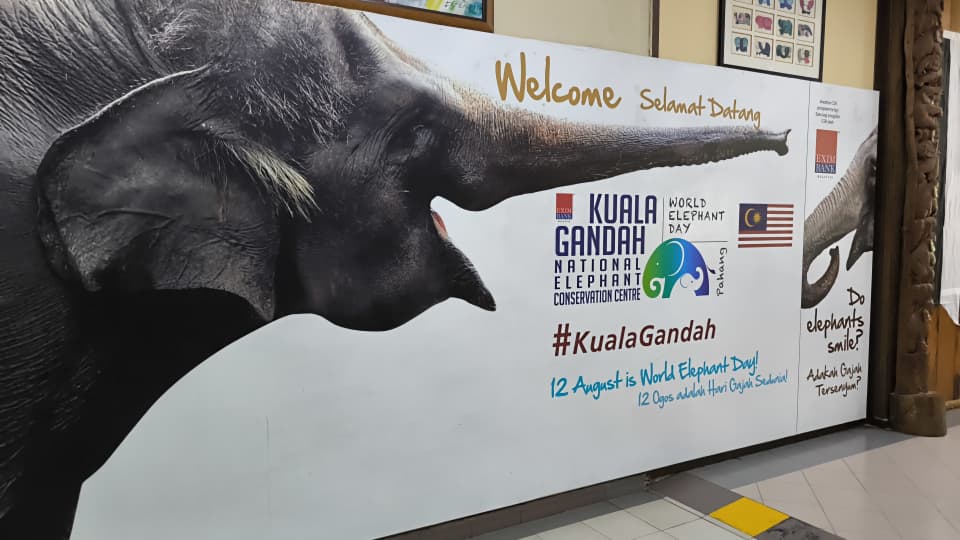 Elephant Sanctuary (Kuala Gandah) — photo 2