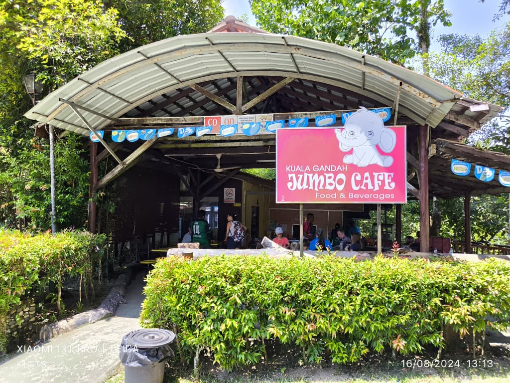 Elephant Sanctuary (Kuala Gandah) — photo 3