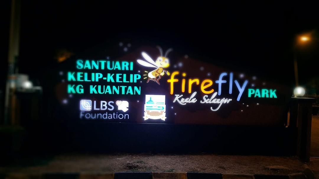 Fireflies Tour Package — photo 2